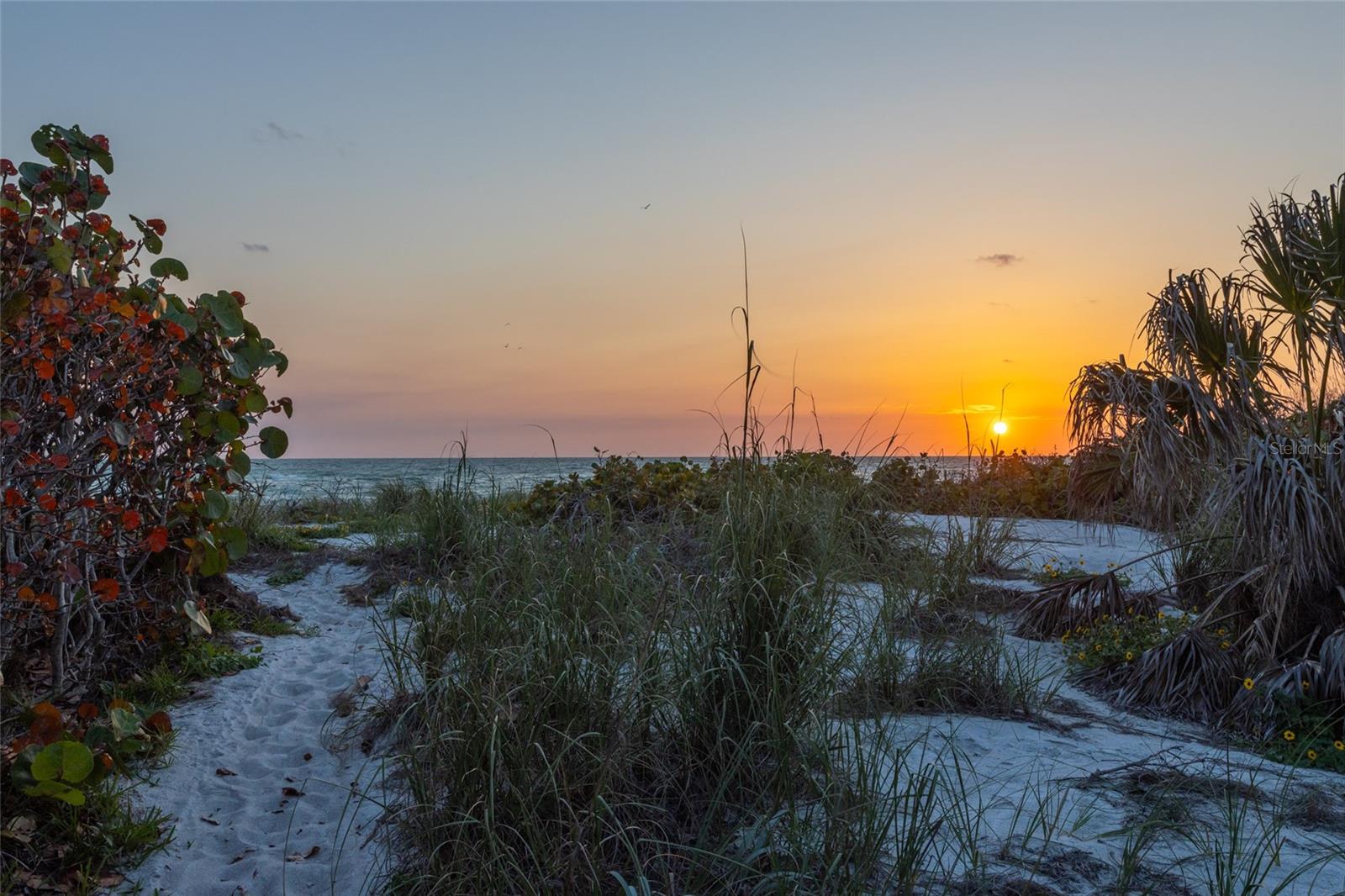Image 33 of 38 For 560 Gulf Bay Road