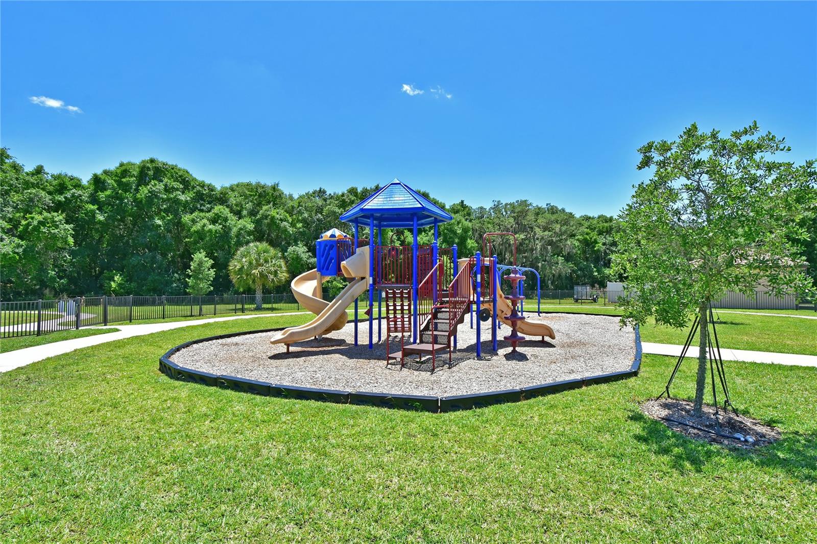 Image 38 of 41 For 211 Dahlia Court