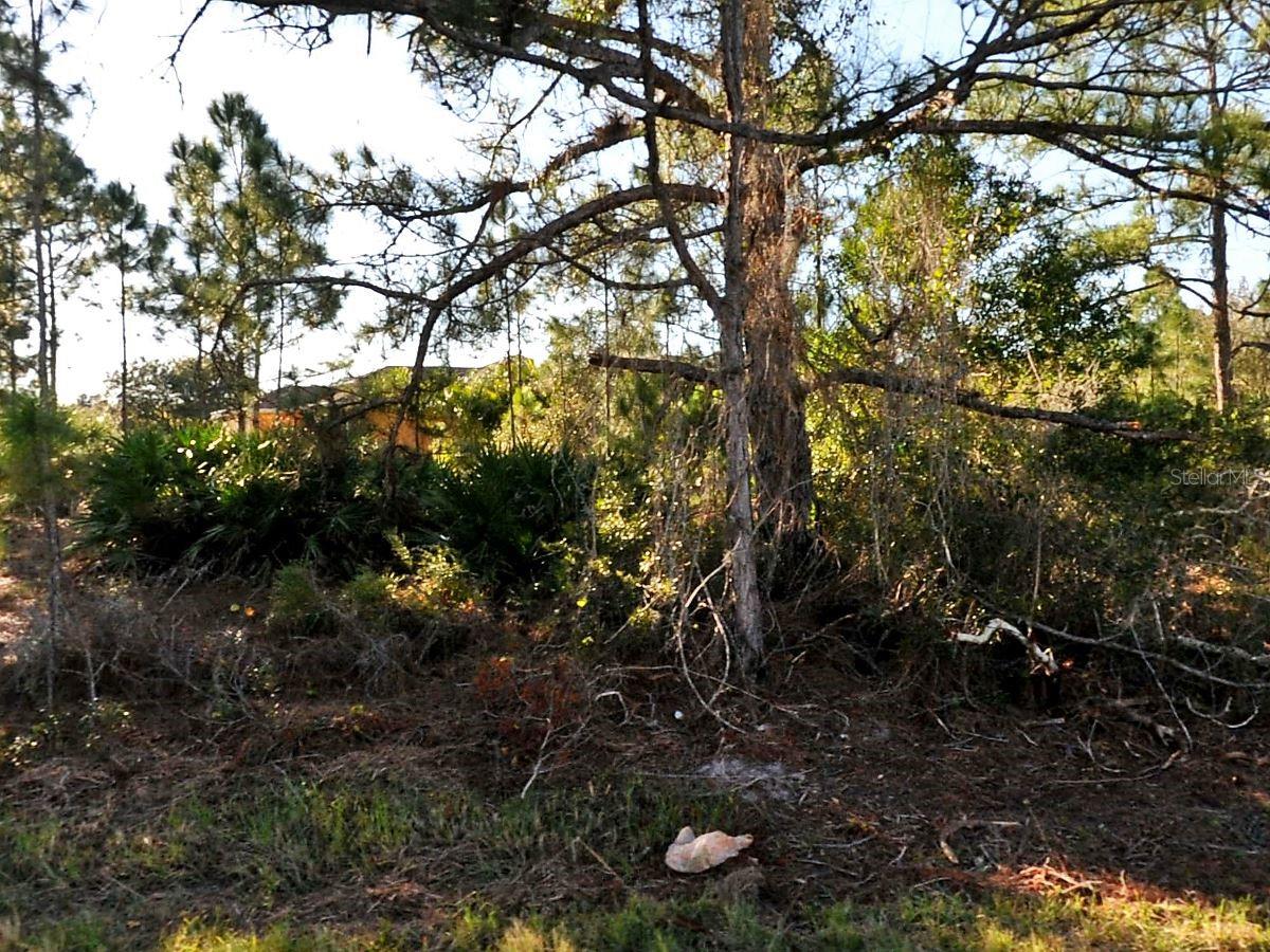 Details for Schoen Street, NORTH PORT, FL 34291