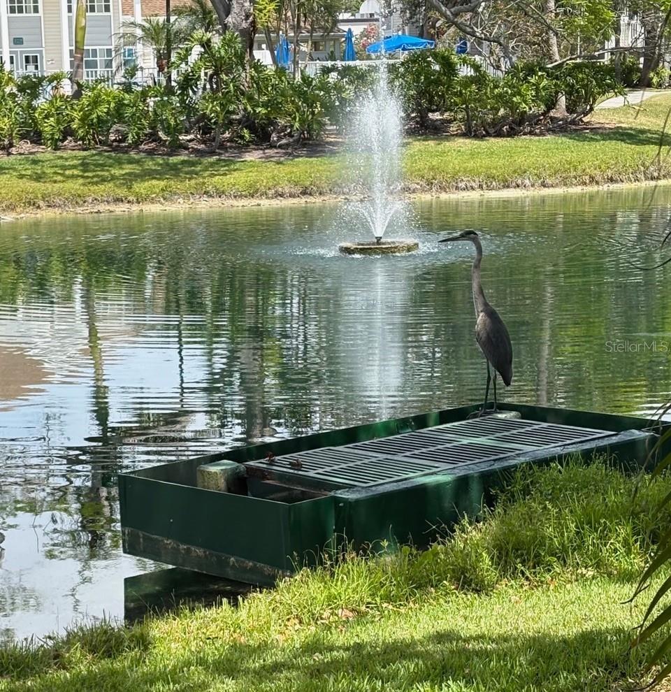 Image 28 of 56 For 850 Tamiami Trail 529