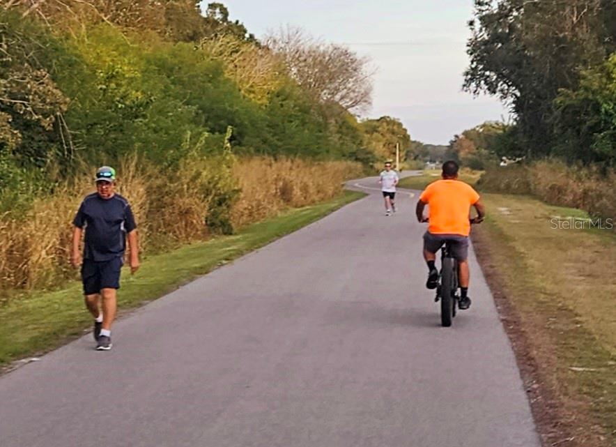 Image 47 of 56 For 850 Tamiami Trail 529