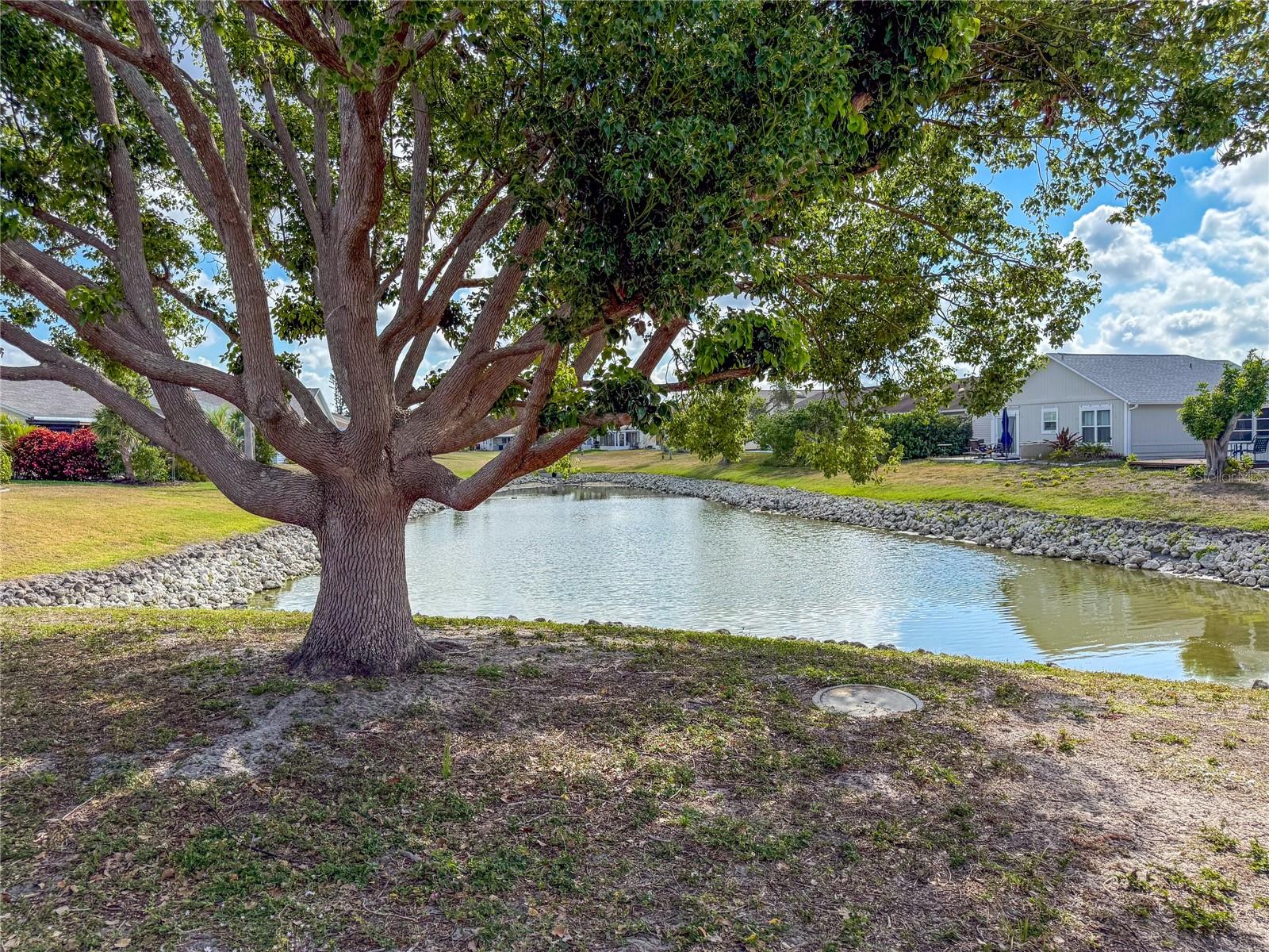Image 42 of 49 For 3909 40th Street W