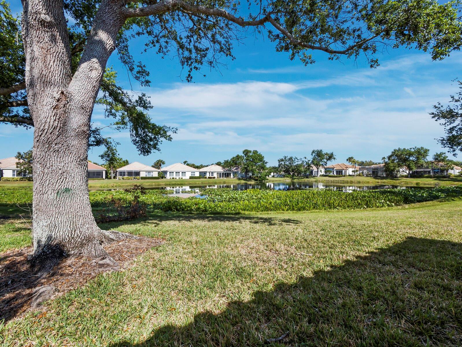 Image 26 of 33 For 3835 Alamanda Drive