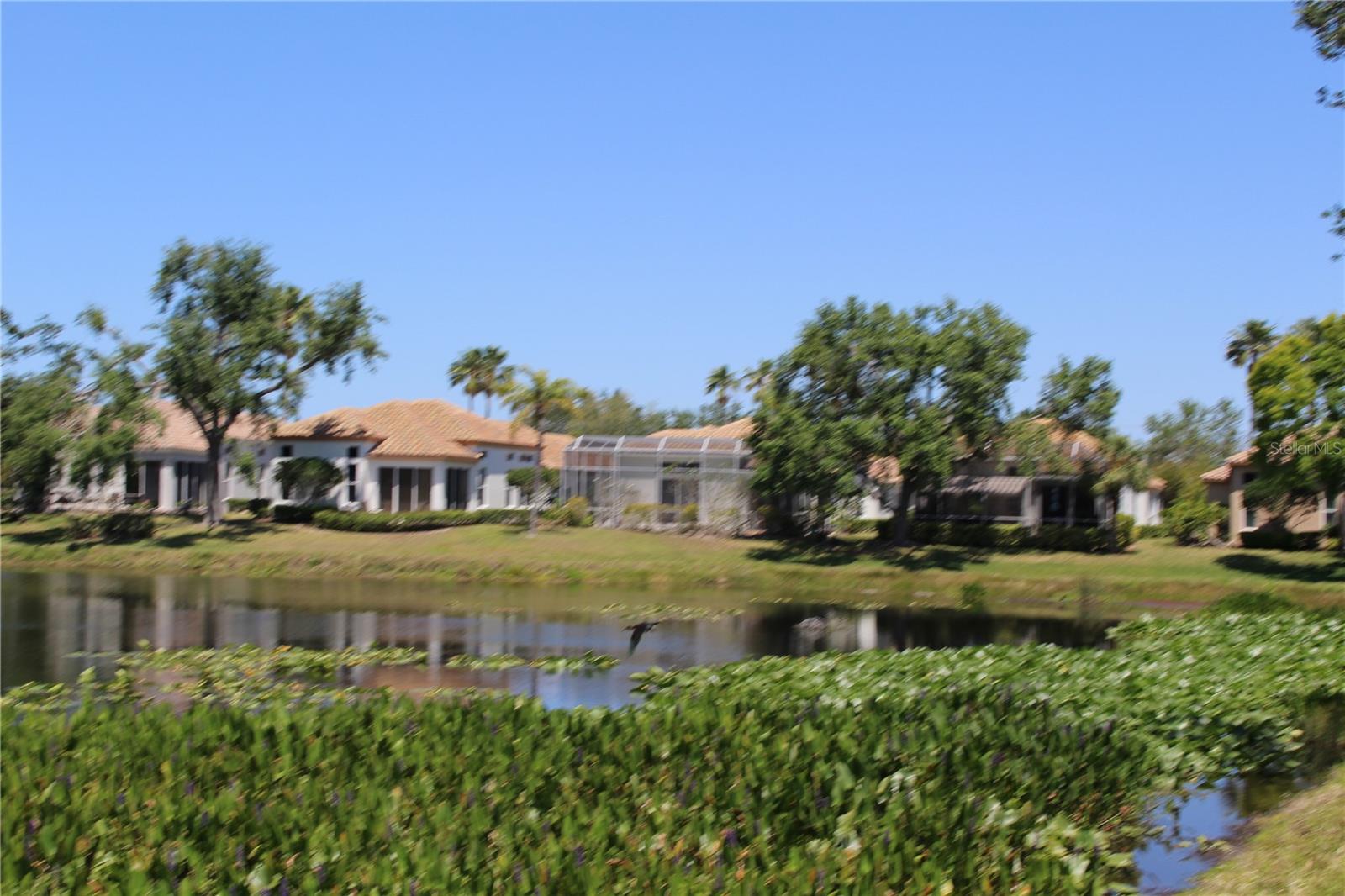 Image 8 of 33 For 3835 Alamanda Drive