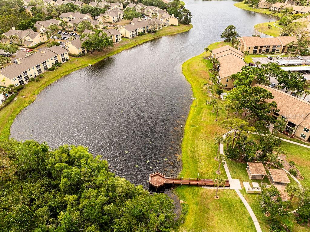 Image 31 of 100 For 4061 Crockers Lake Boulevard 2618