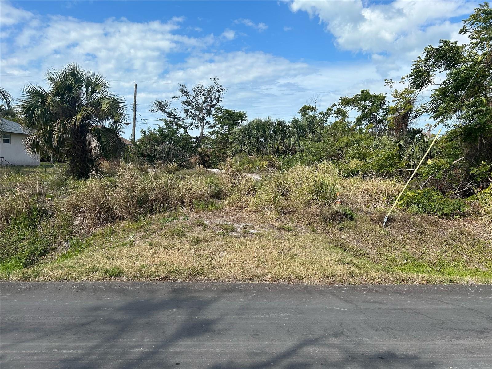 Image 3 of 3 For  Osprey Road 
