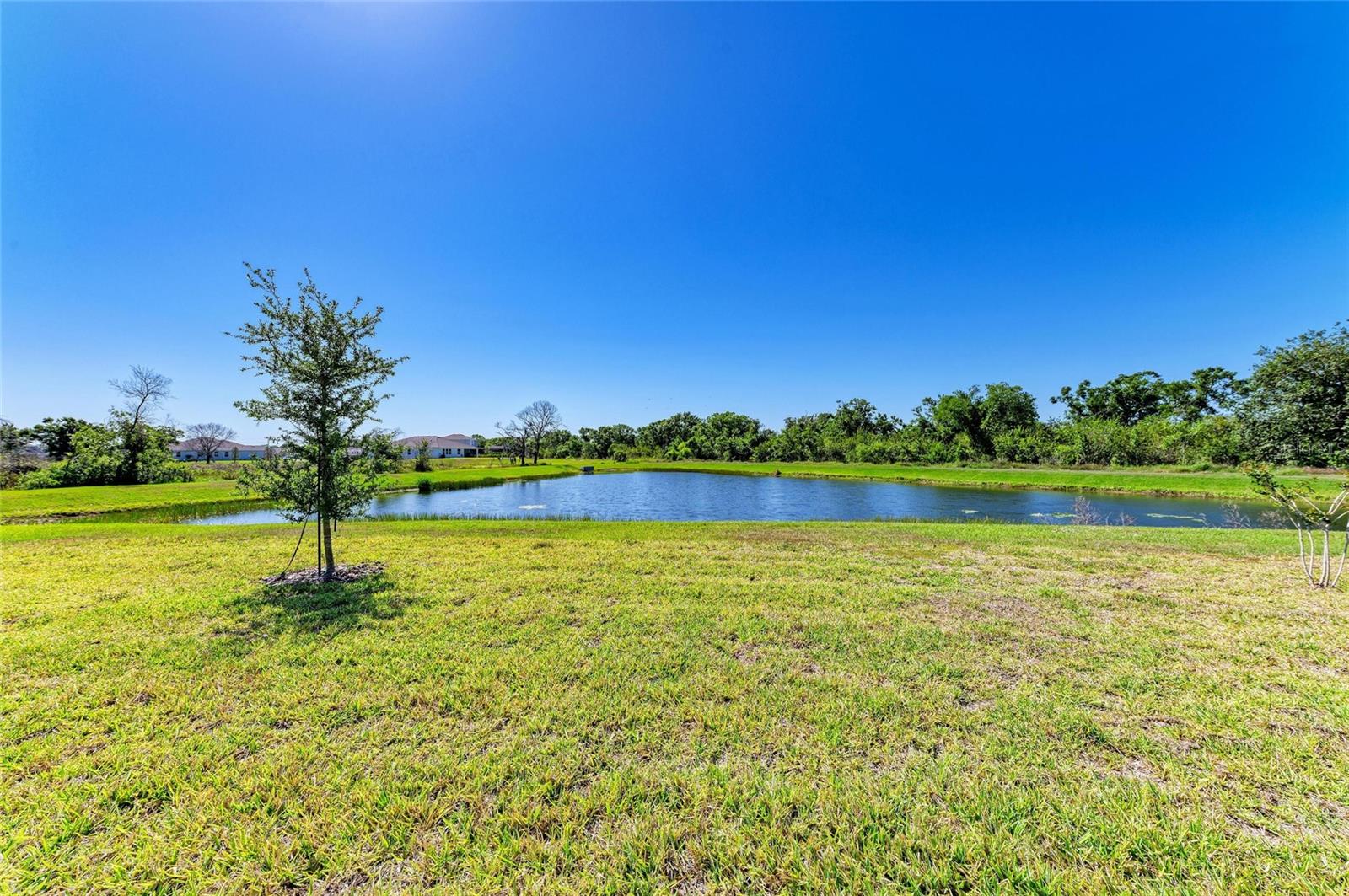 Image 35 of 83 For 17555 Cantarina Cove