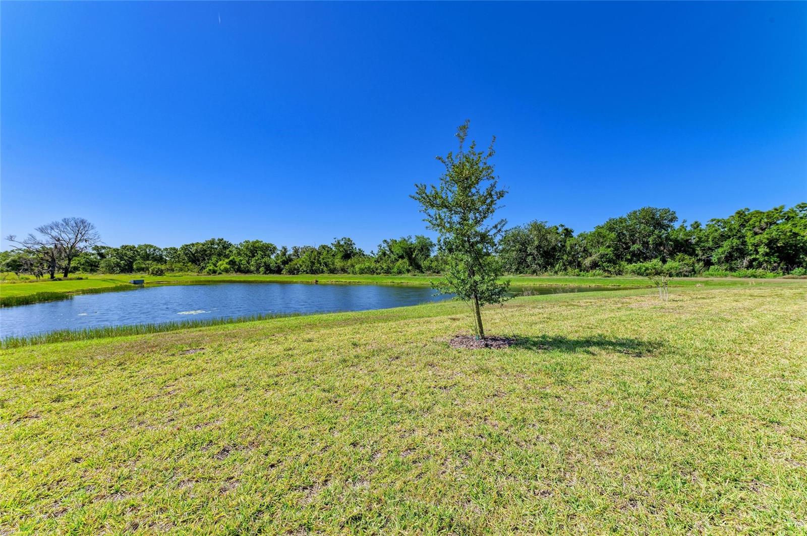 Image 36 of 83 For 17555 Cantarina Cove