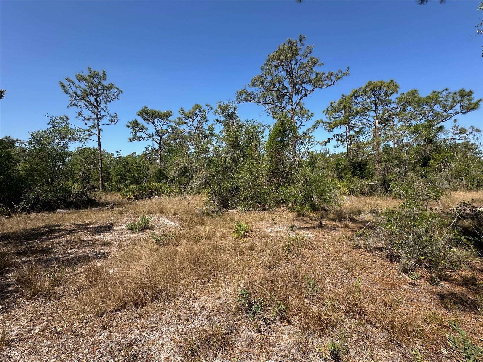 Image 18 of 19 For 3705 222nd Street E