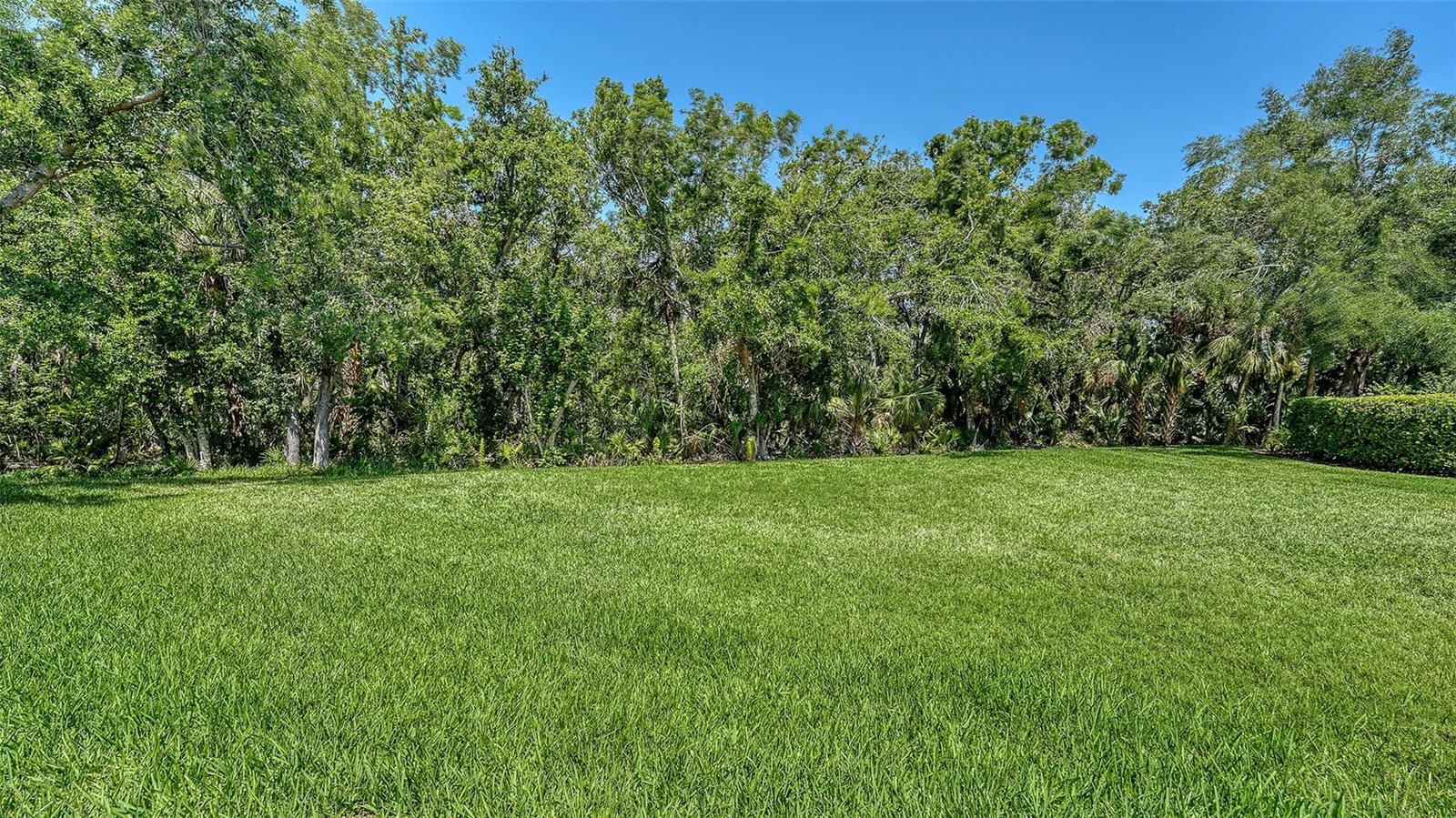 Image 26 of 47 For 8019 Indigo Ridge Terrace