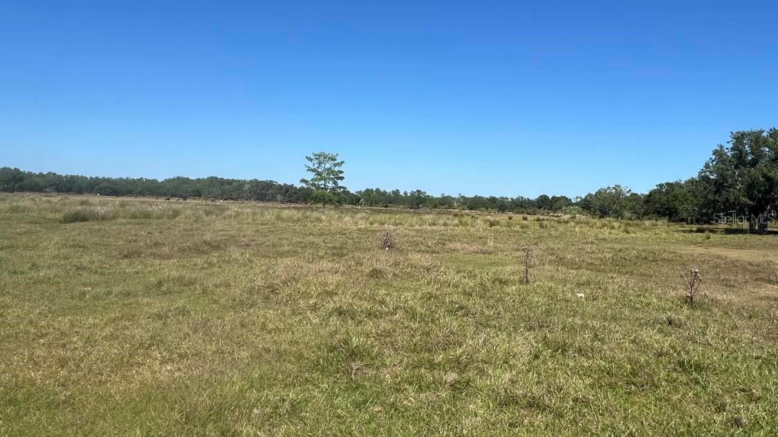 Details for 45855 Clay Gully Road, MYAKKA CITY, FL 34251