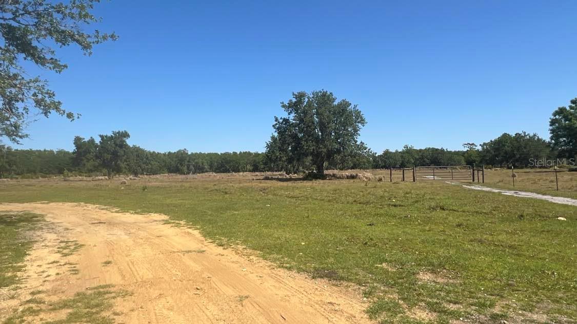 Image 6 of 16 For 45855 Clay Gully Road