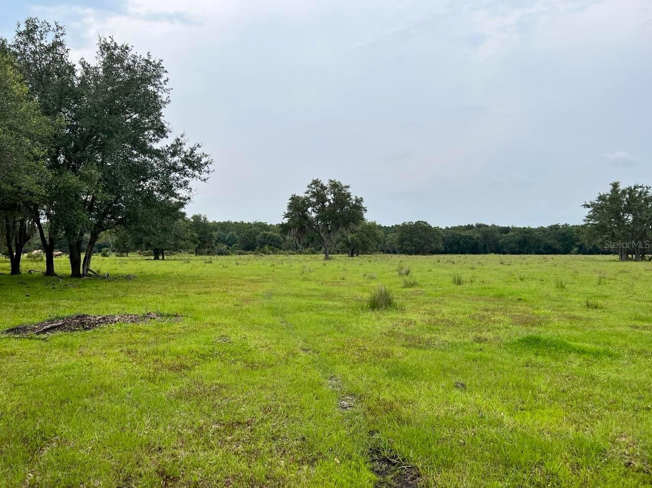 Image 7 of 16 For 45855 Clay Gully Road