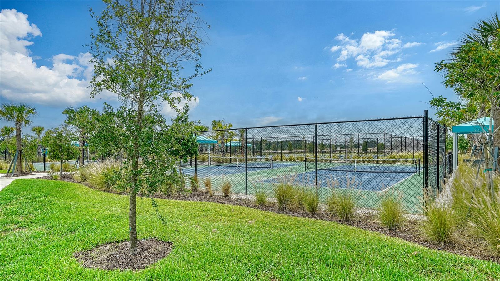Image 45 of 50 For 10105 Canaveral Circle