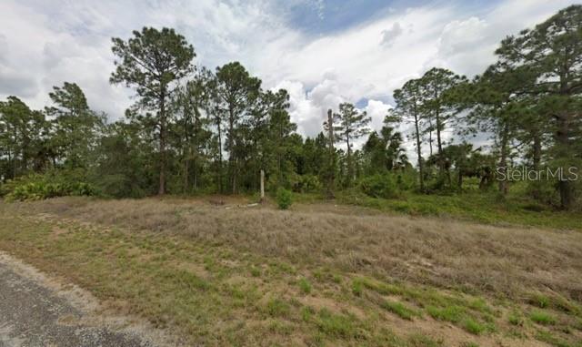 Listing Details for 637 Mulberry Avenue S, LEHIGH ACRES, FL 33974