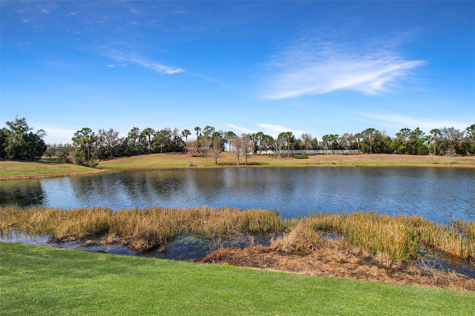 Image 8 of 56 For 5336 Vaccaro Court