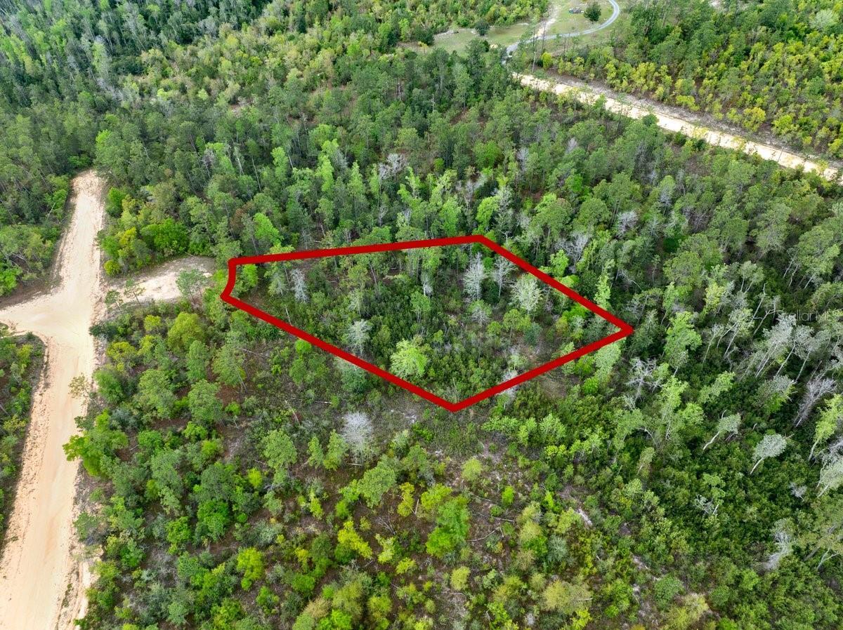 Details for Castle Circle, ALFORD, FL 32420