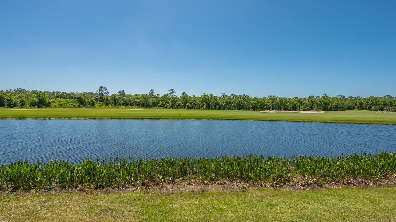 Image 36 of 72 For 17902 Gawthrop Drive 402