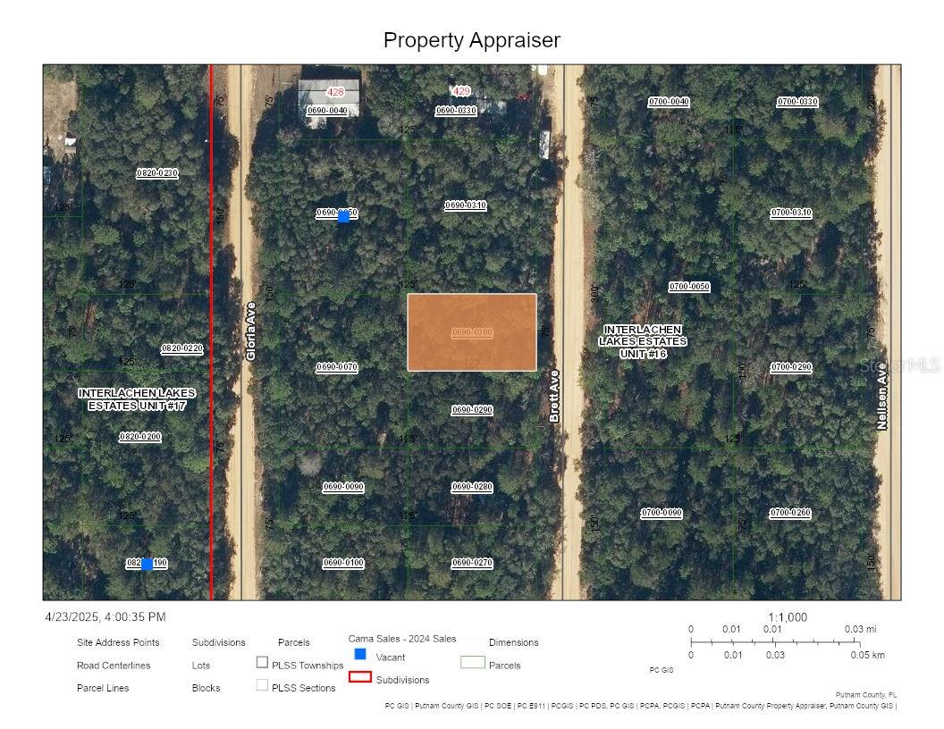 Details for 0 Brett Avenue, INTERLACHEN, FL 32148