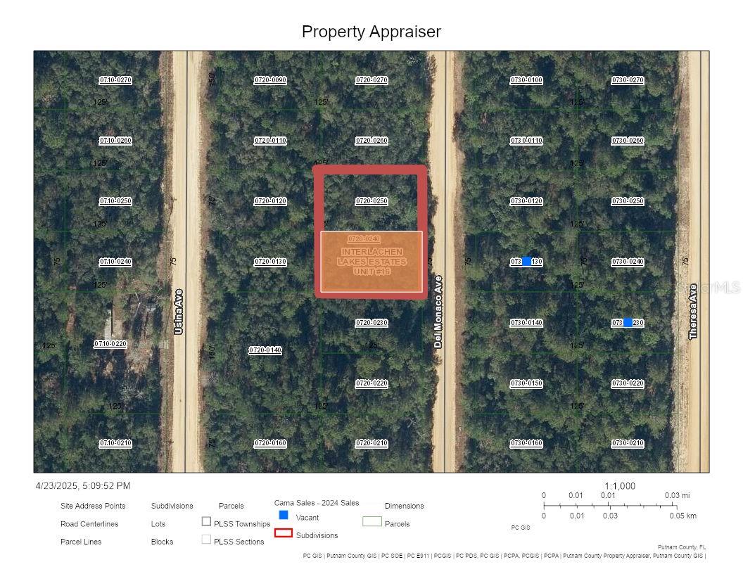 Details for 0 Del Monaco Avenue, INTERLACHEN, FL 32148