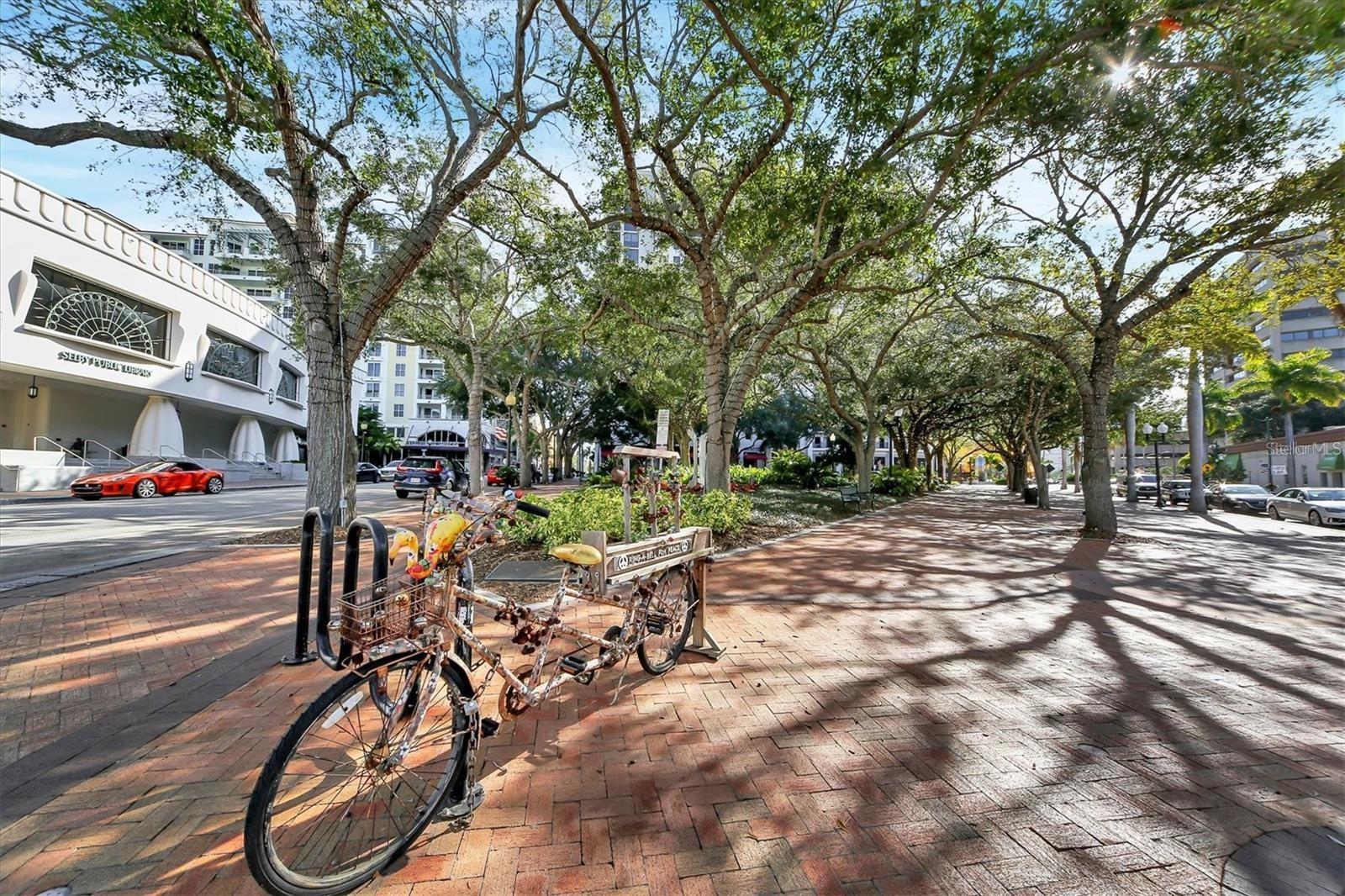 Image 35 of 44 For 1111 Gulfstream Avenue 16c