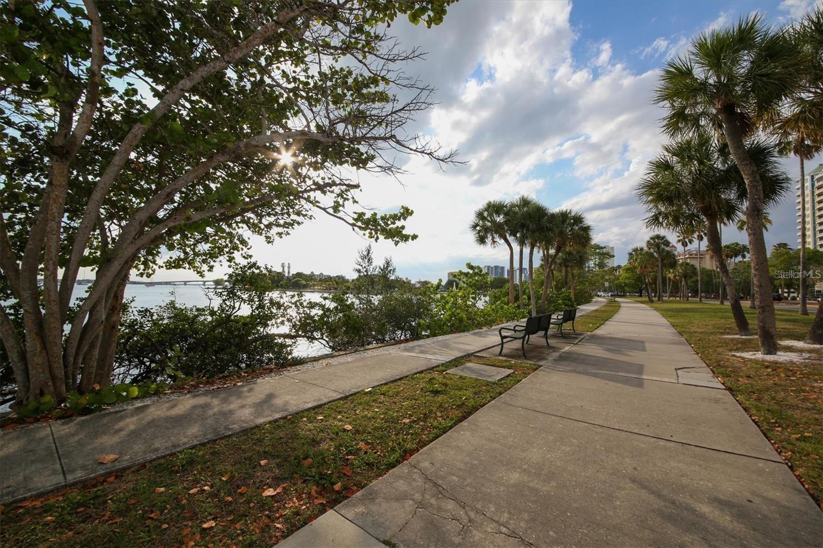Image 38 of 44 For 1111 Gulfstream Avenue 16c