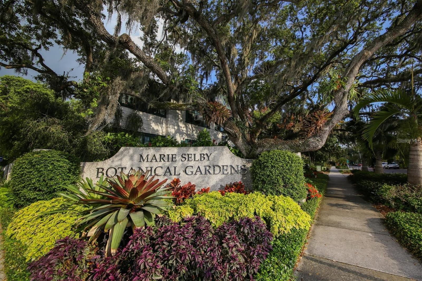 Image 41 of 44 For 1111 Gulfstream Avenue 16c