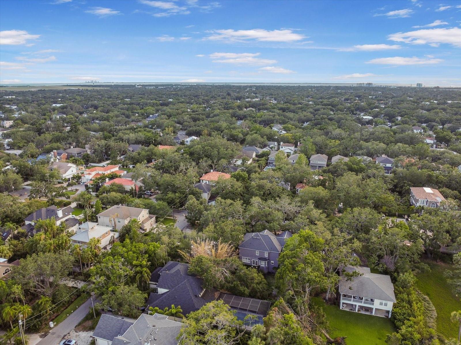Image 5 of 55 For 5716 Bayshore Boulevard