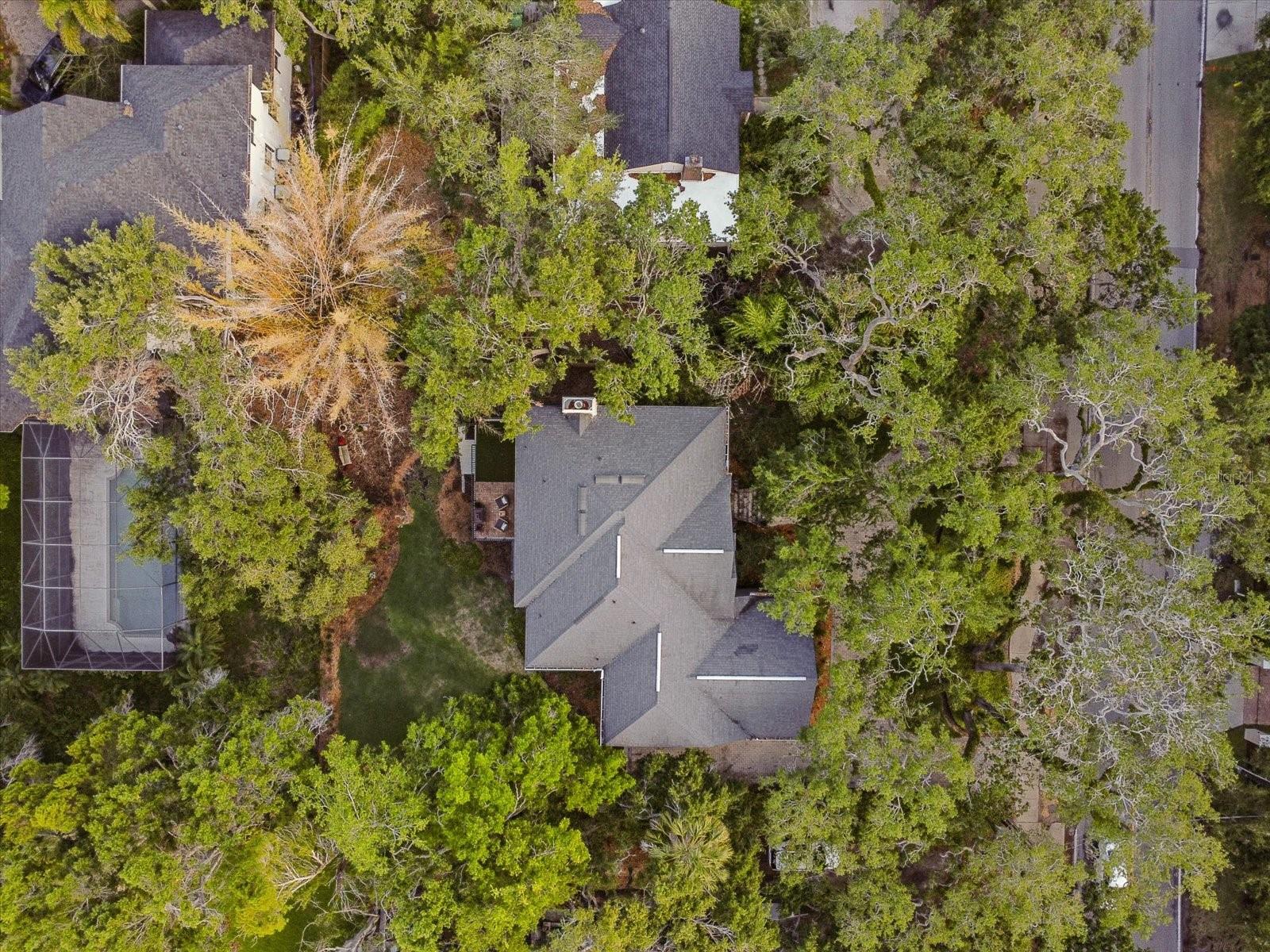 Image 7 of 55 For 5716 Bayshore Boulevard