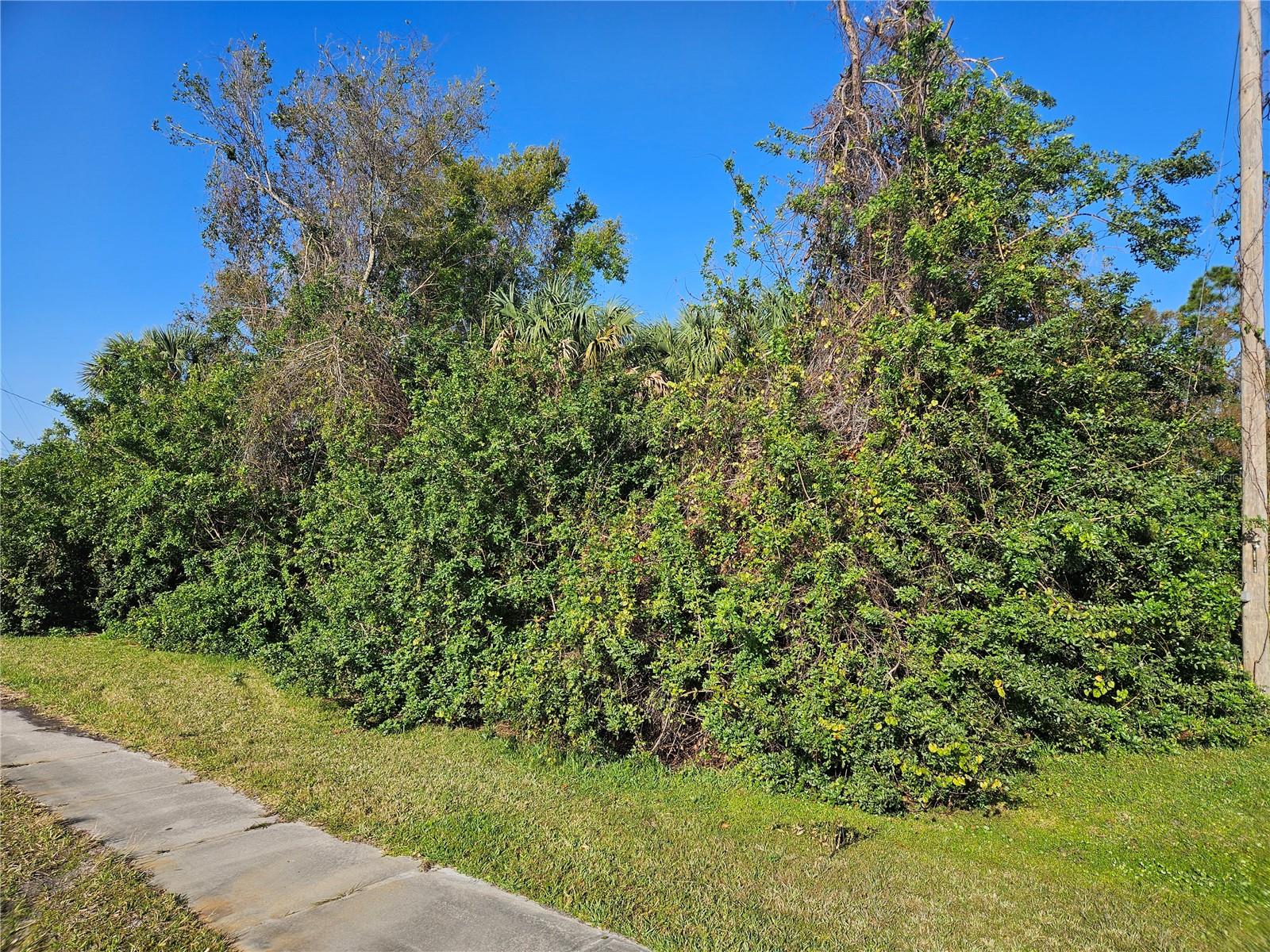 Details for Chamberlain Boulevard, NORTH PORT, FL 34286