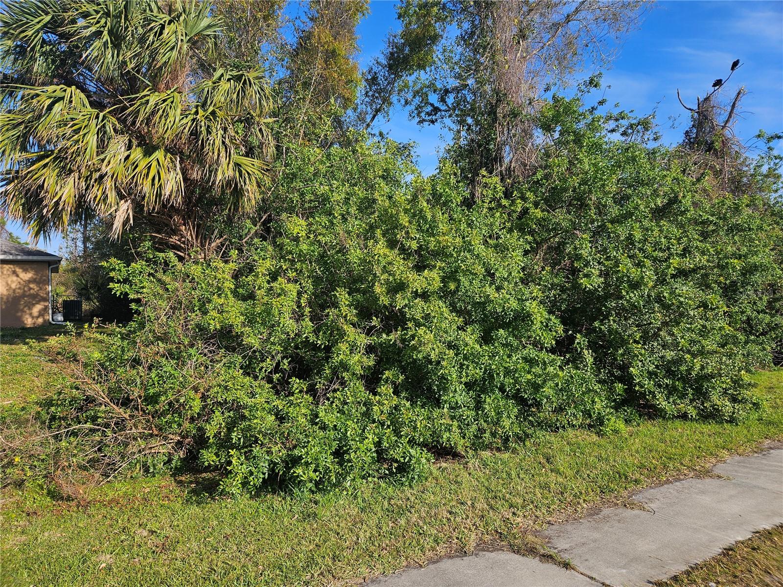 Image 2 of 4 For Chamberlain Boulevard