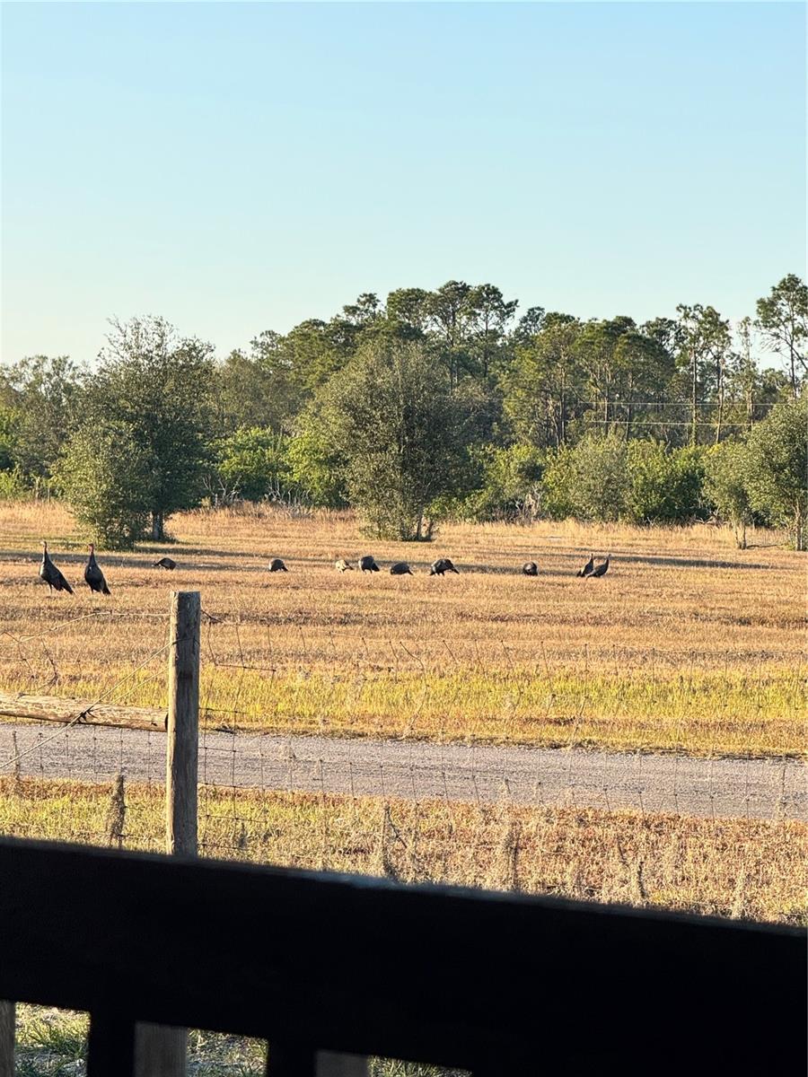 Image 26 of 31 For 6204 Juel Gill Road