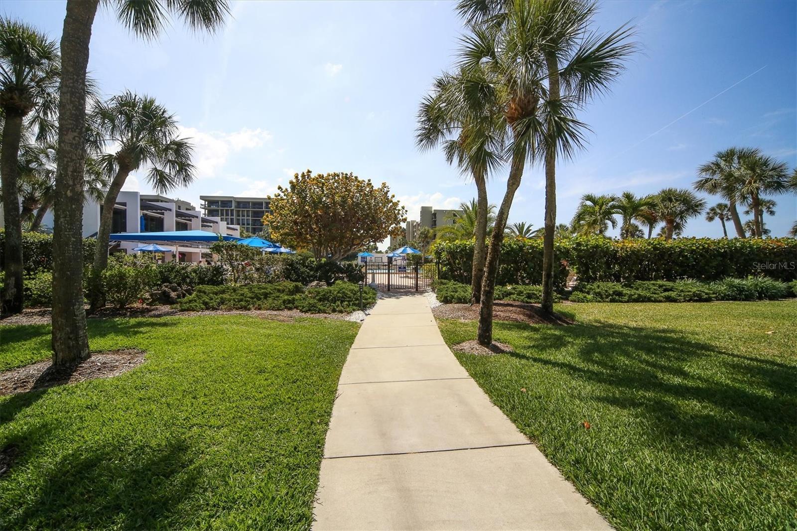 Image 32 of 54 For 1065 Gulf Of Mexico Drive 103