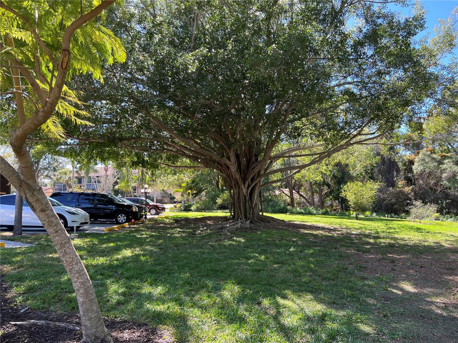 Image 45 of 45 For 5617 Ashton Lake Drive 1