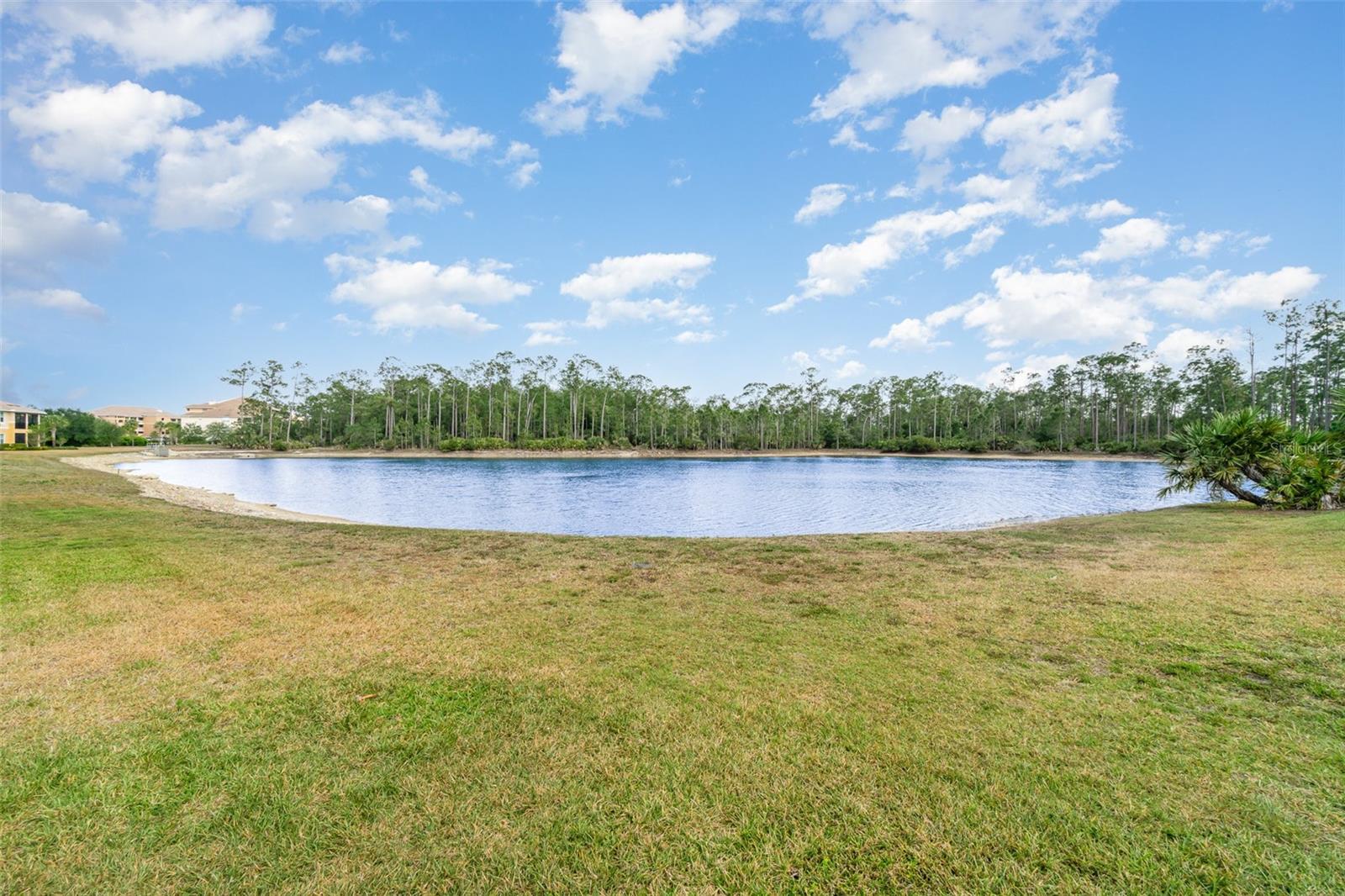 Image 26 of 40 For 10659 Pelican Preserve Boulevard 102-b