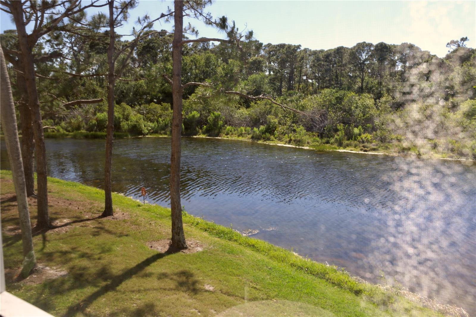 Image 14 of 70 For 8370 Wingate Drive 724