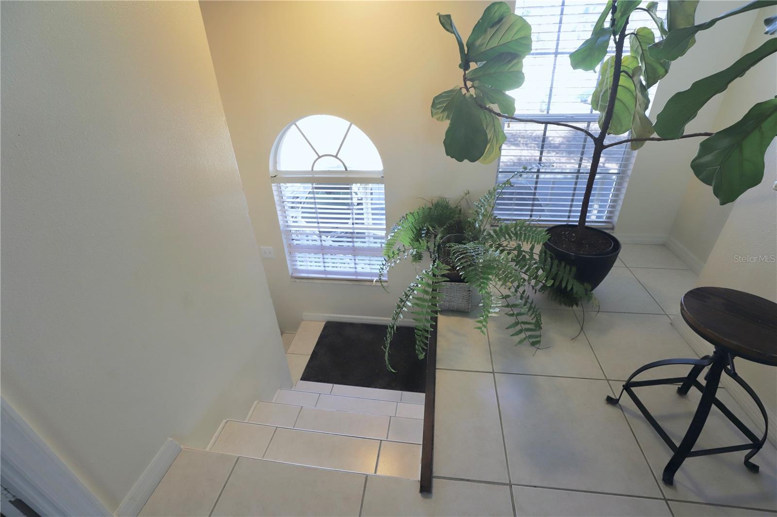 Image 34 of 70 For 8370 Wingate Drive 724