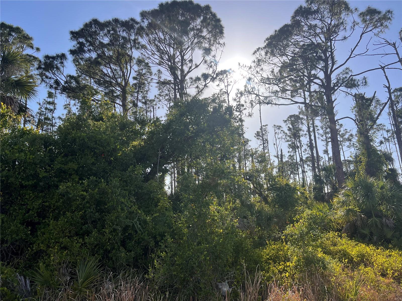 Details for  Rufus Road , NORTH PORT, FL 34288