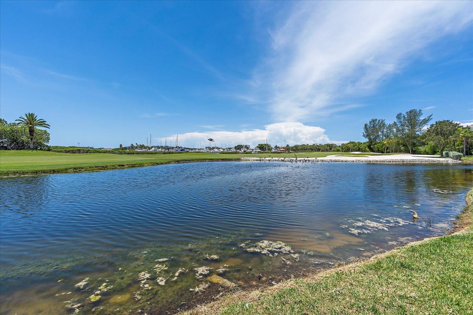 Image 27 of 35 For 3010 Grand Bay Boulevard 445