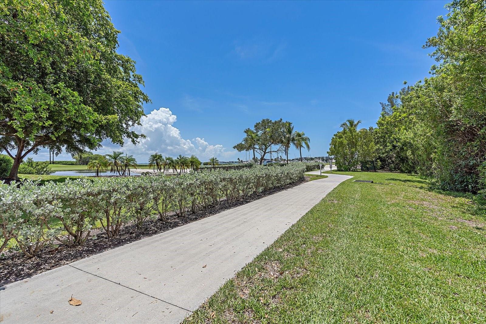 Image 31 of 35 For 3010 Grand Bay Boulevard 445