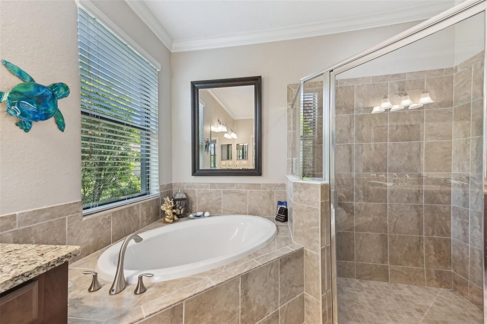 Image 23 of 64 For 13786 Vancanza Drive