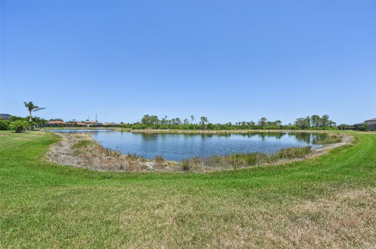 Image 39 of 64 For 13786 Vancanza Drive