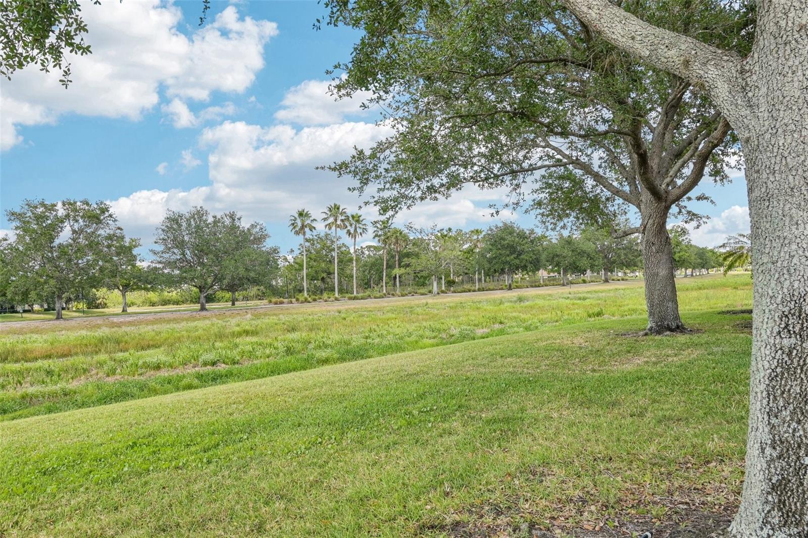 Image 12 of 22 For 2353 Rosewood Lane