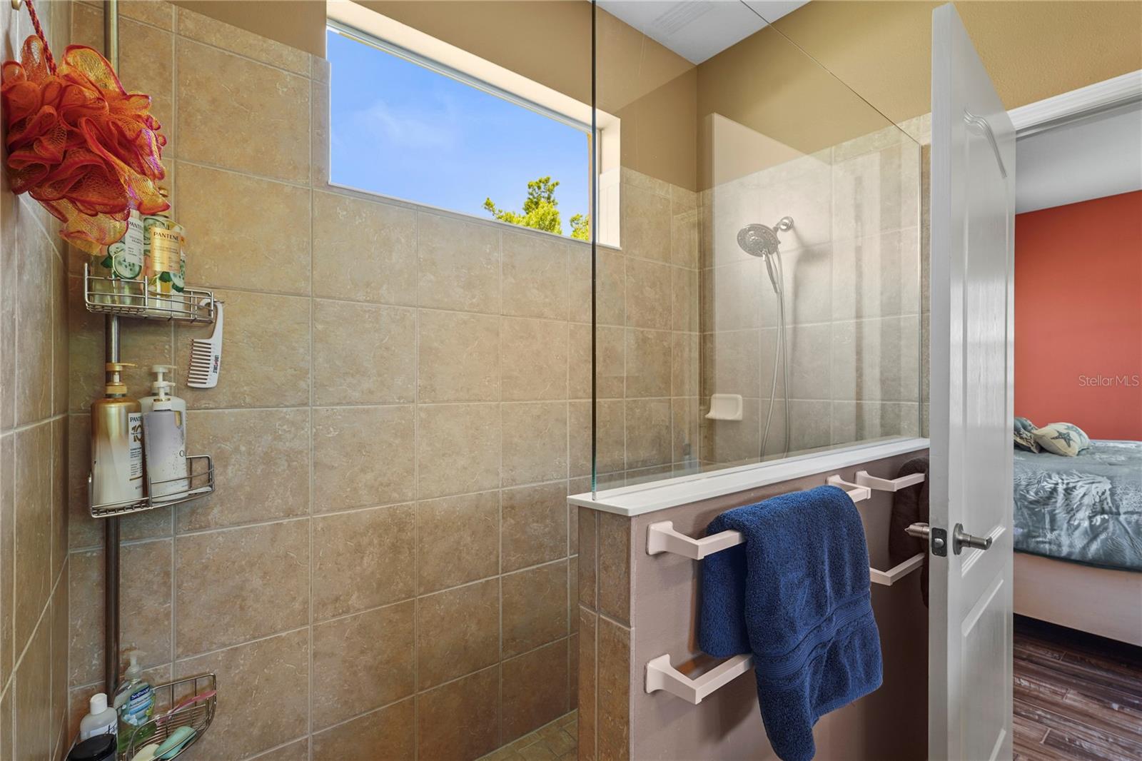Image 19 of 37 For 27243 Ipswich Drive