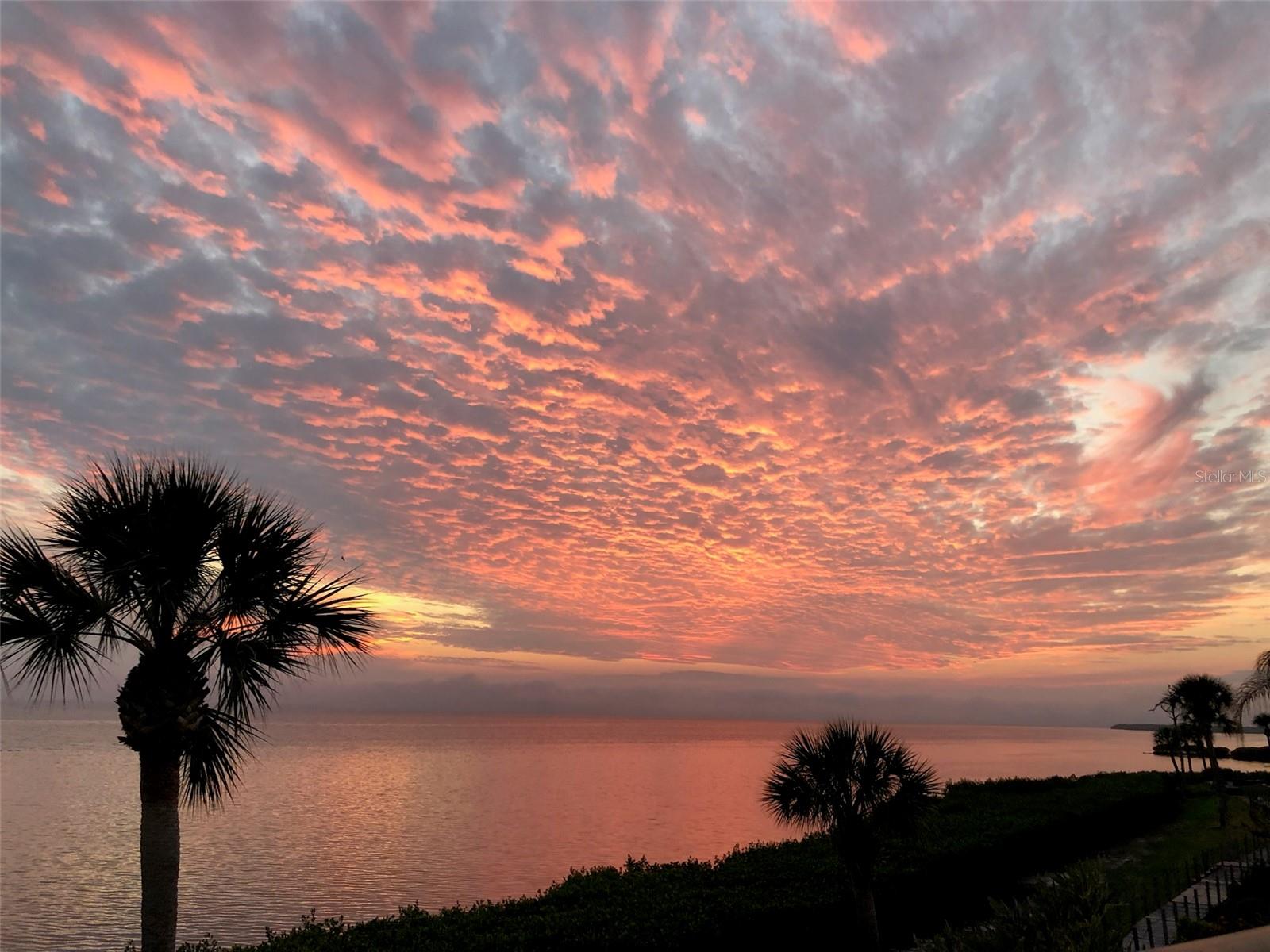 Details for 3420 Wild Oak Bay Boulevard 120, BRADENTON, FL 34210
