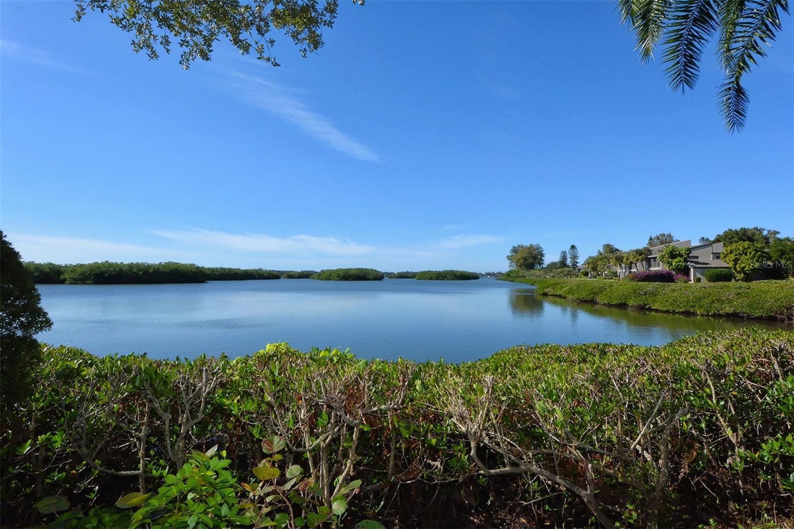 Image 48 of 61 For 1601 Bayhouse Point Drive Ba204