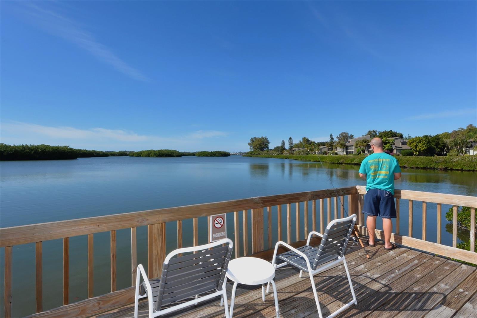 Image 49 of 61 For 1601 Bayhouse Point Drive Ba204