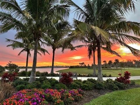 Image 56 of 71 For 10394 Abaco Falls Drive