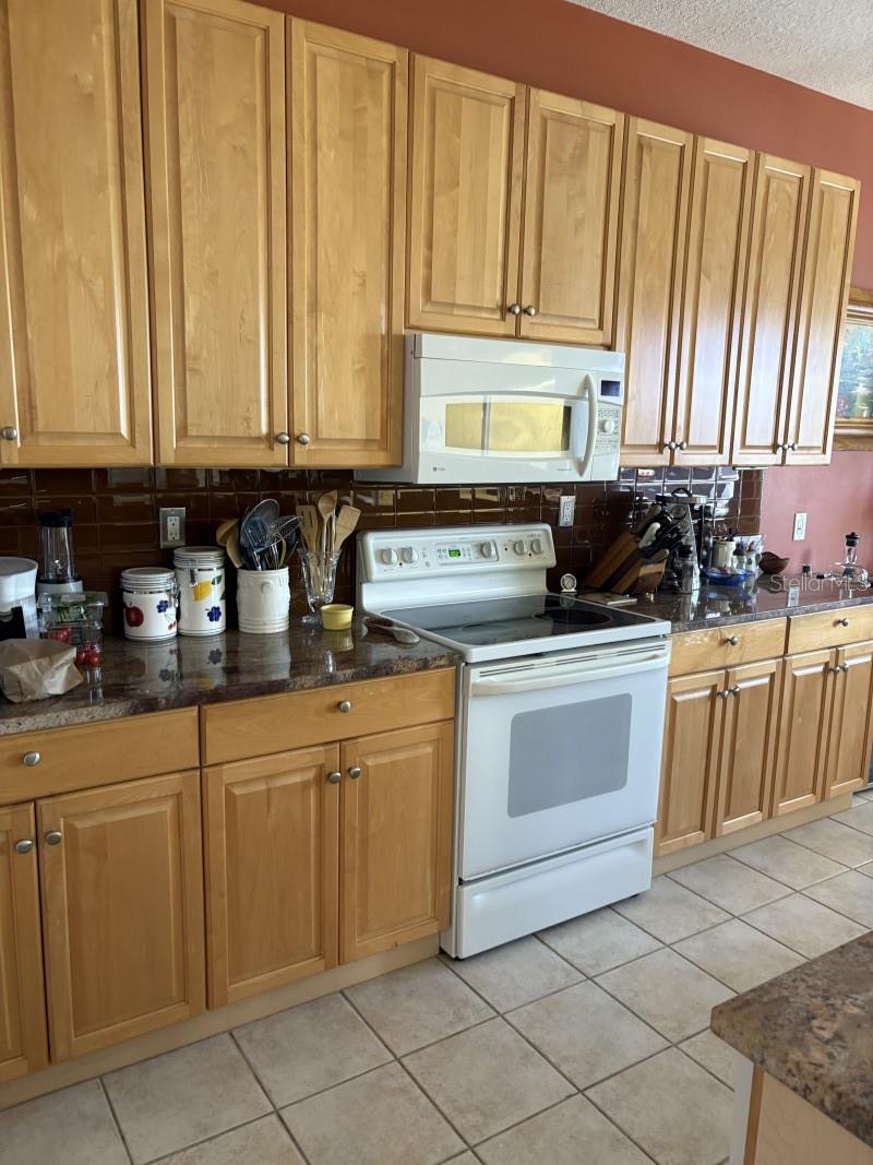 Image 5 of 12 For 1620 San Silvestro Drive