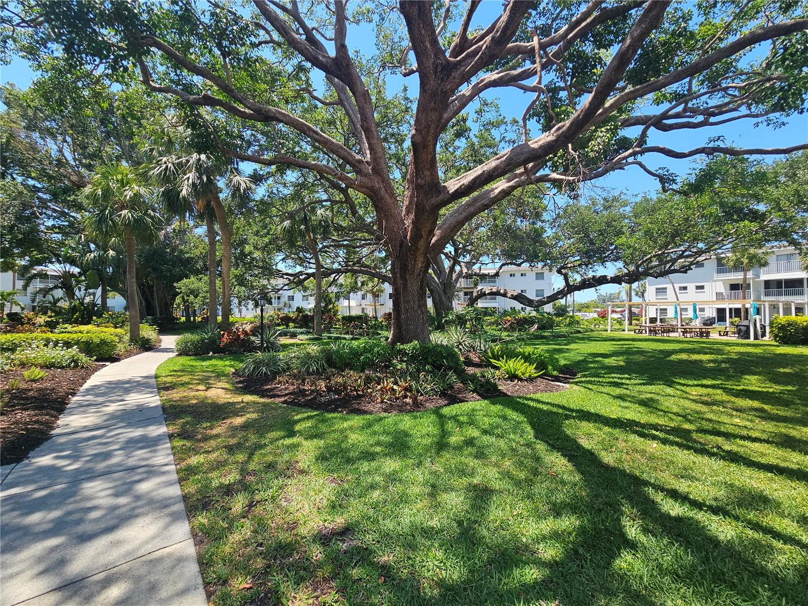 Image 84 of 91 For 2321 Canal Drive F25
